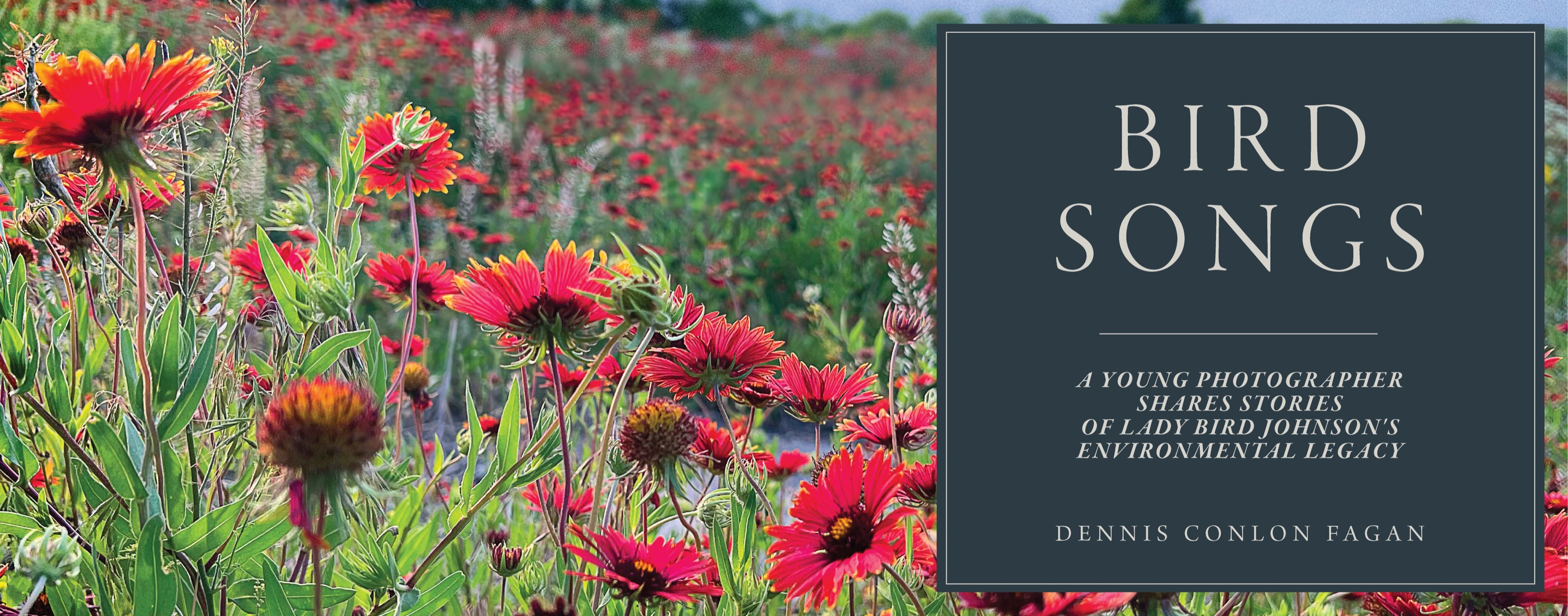 Bird Songs  -  a young photographer shares stories of Lady Bird Johnson&rsquo;s environmental legacy. By Dennis Conlon Fagan.